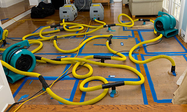 Professional Storm Water Damage Restoration technician working in Havertown, PA